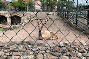 Ogród Zoobotaniczny