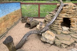 Ogród Zoobotaniczny