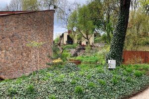 Ogród Zoobotaniczny
