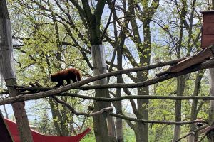 Ogród Zoobotaniczny