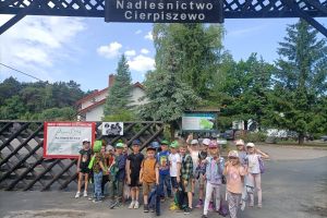nadlesnictwo