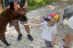 SPACER Z ALPAKAMI