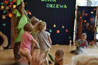 Dzień Drzewa