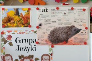 Dzień jeża