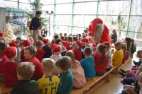 Teatr MagMowcy- "Pingwin Negatyw"