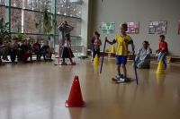 Zimowa Olimpiada Sportowa