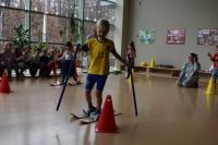 Zimowa Olimpiada Sportowa