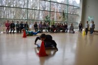 Zimowa Olimpiada Sportowa