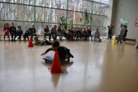Zimowa Olimpiada Sportowa
