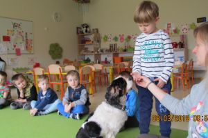 dogoterapia