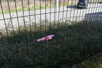 Zajączkowe zagadki