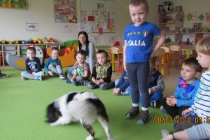 dogoterapia