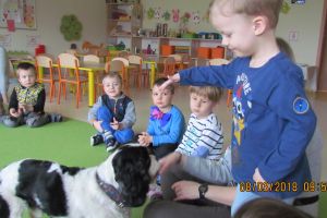 dogoterapia