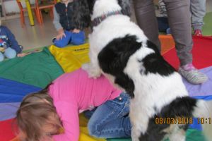 dogoterapia
