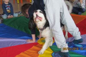 dogoterapia