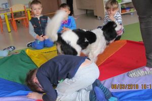 dogoterapia