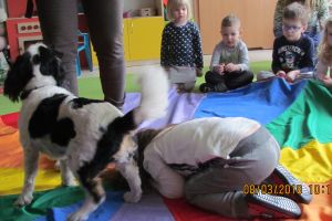 dogoterapia