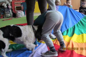 dogoterapia