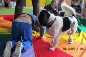 dogoterapia