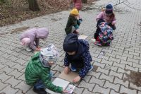 Projekt ekologiczny