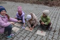 Projekt ekologiczny