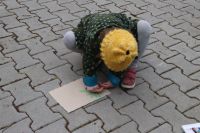 Projekt ekologiczny