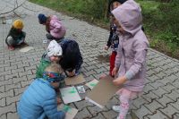 Projekt ekologiczny