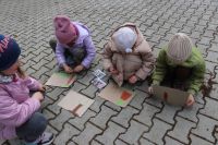 Projekt ekologiczny