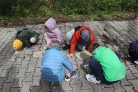 Projekt ekologiczny