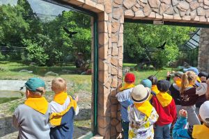 zoo