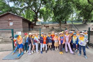 zoo