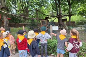zoo