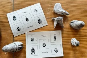 Wycieczka do Nadleśnictwa