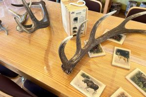 Wycieczka do Nadleśnictwa