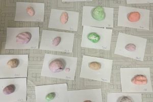 Zabawy sensoplastyczne