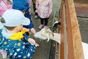 wycieczka do ogrodu zoobotanicznego