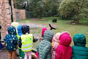 wycieczka do ogrodu zoobotanicznego