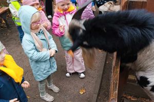 wycieczka do ogrodu zoobotanicznego