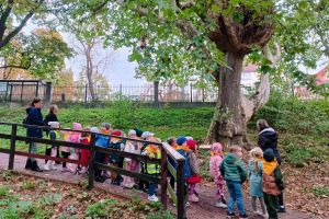 wycieczka do ogrodu zoobotanicznego