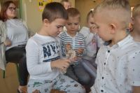 Dzień Czyściocha- 22.11.2024r.