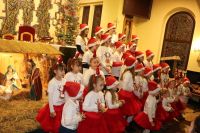 Koncert Kolęd i Pastorałek 2025r.